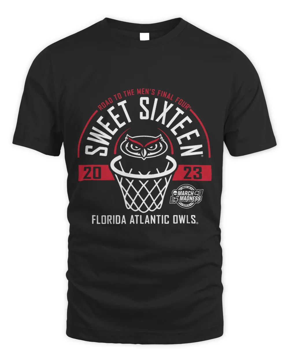 Florida Atlantic Owls Sweet 16 March Madness Basketball