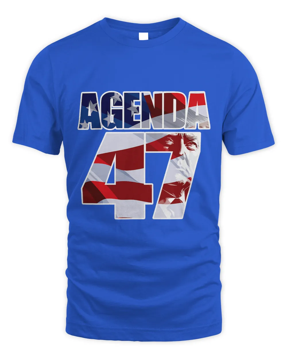 Agenda 47 Patriotic Trump ReElection Campaign Design