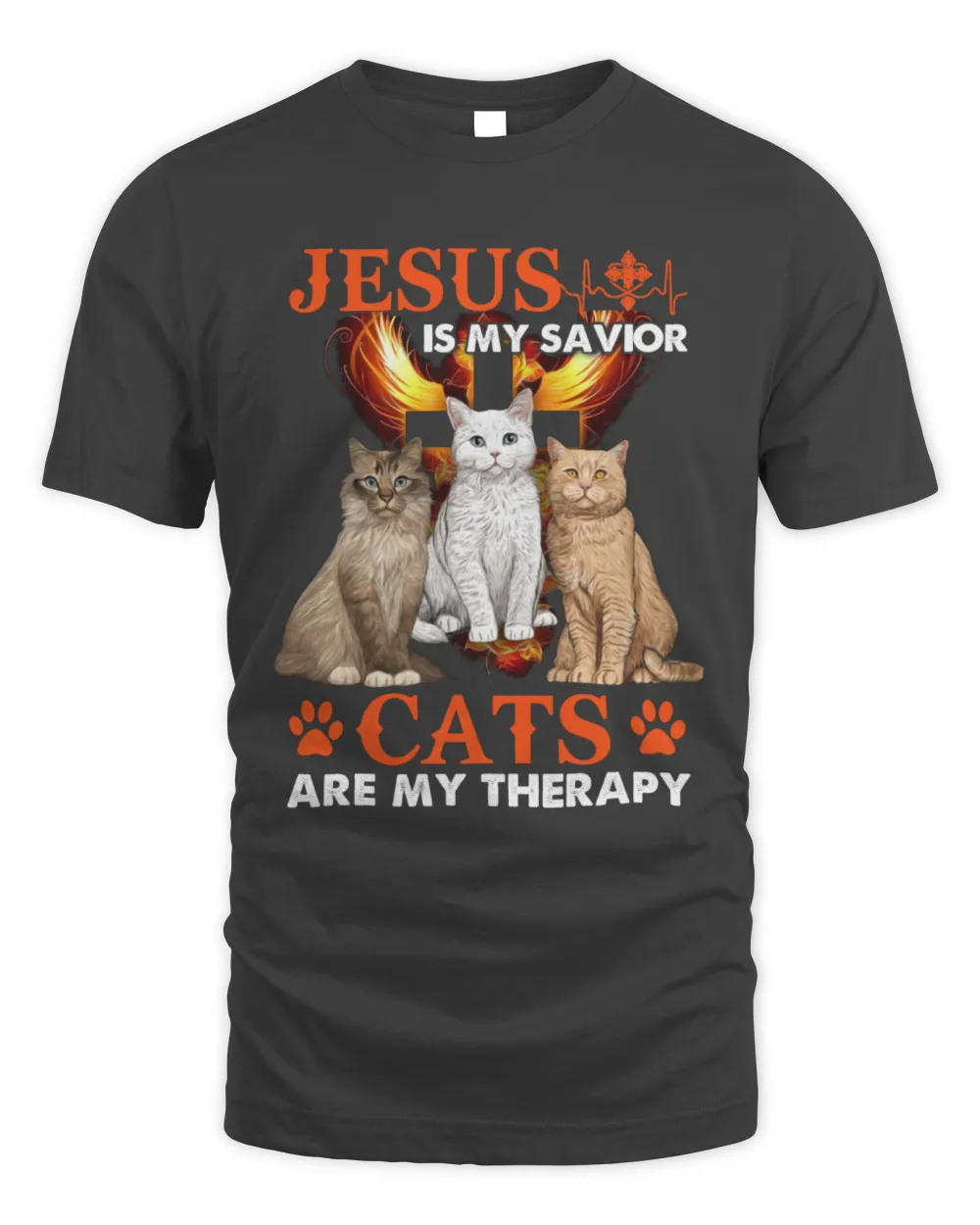 jesus   three cat