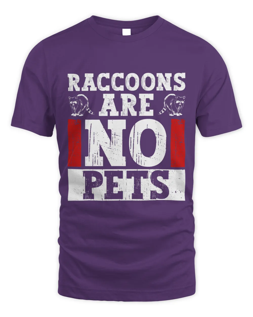 Raccoons Are No Pets Raccoon Animal Rights
