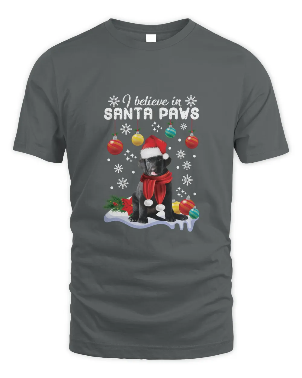 I Believe In Santa Paws Premium T-Shirt