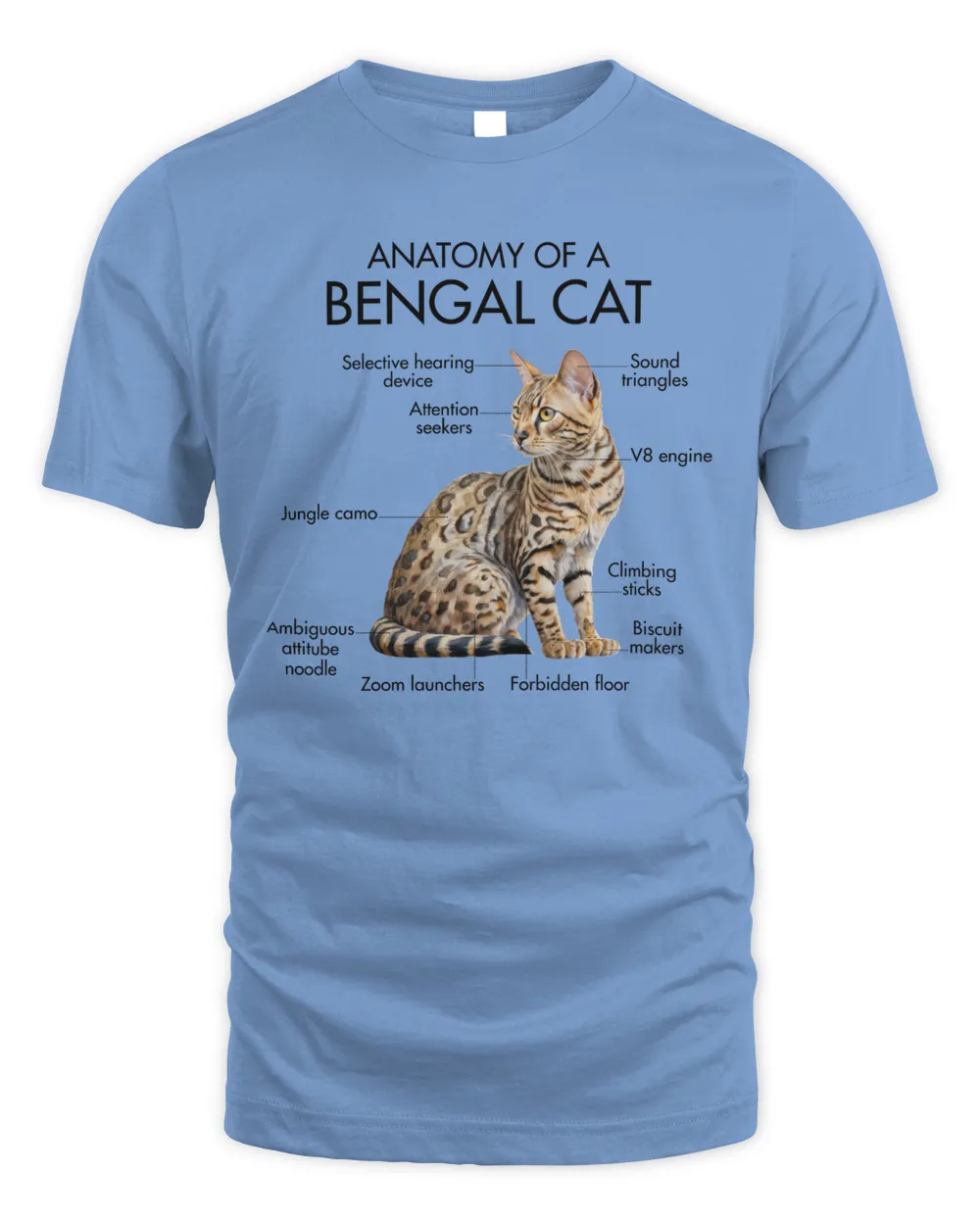 Anatomy Of A Bengal Cat