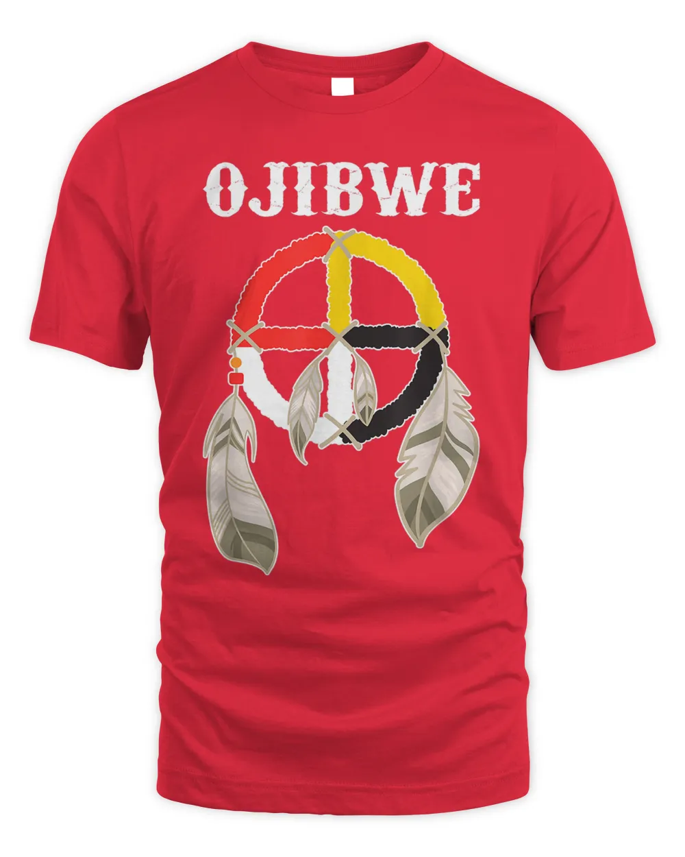 Ojibwe Anishinaabeg People Native American