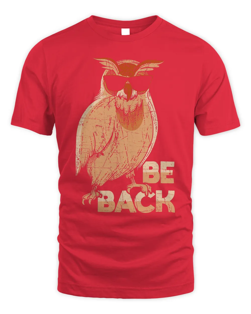 Owl Be Back Funny Distressed Owl Lovers 620