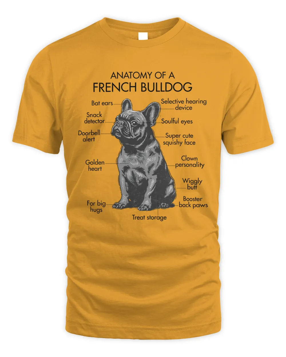 Anatomy Of A French Bulldog