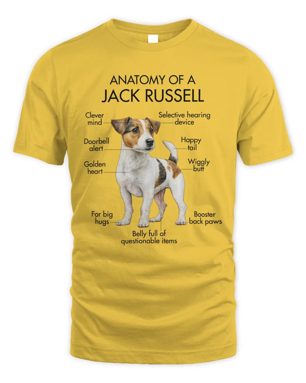 Anatomy Of A Jack Russell