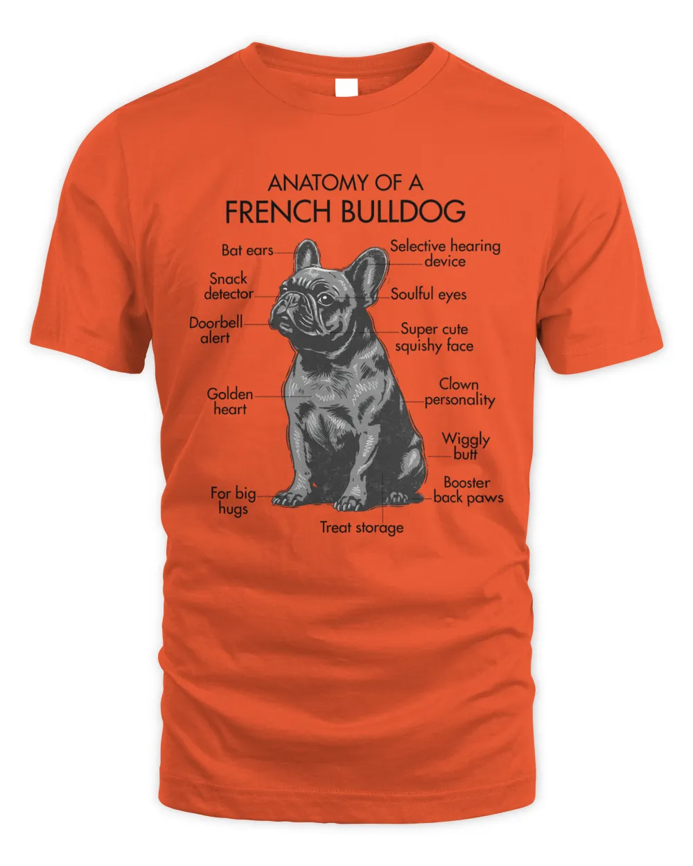 Anatomy Of A French Bulldog