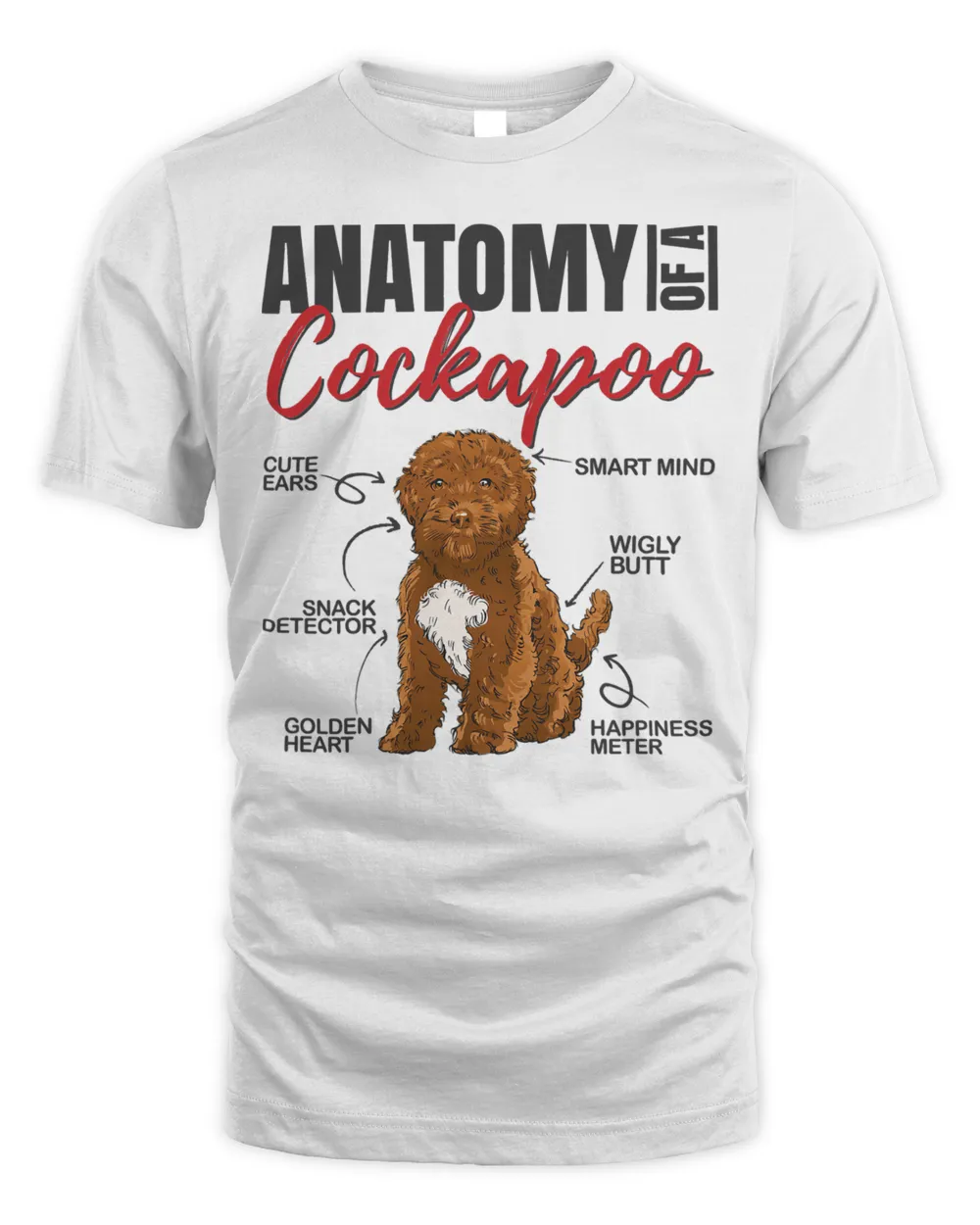 Anatomy of a Cockapoo