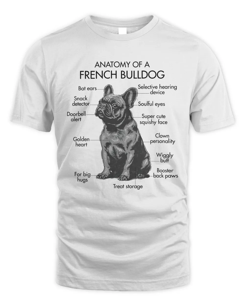 Anatomy Of A French Bulldog