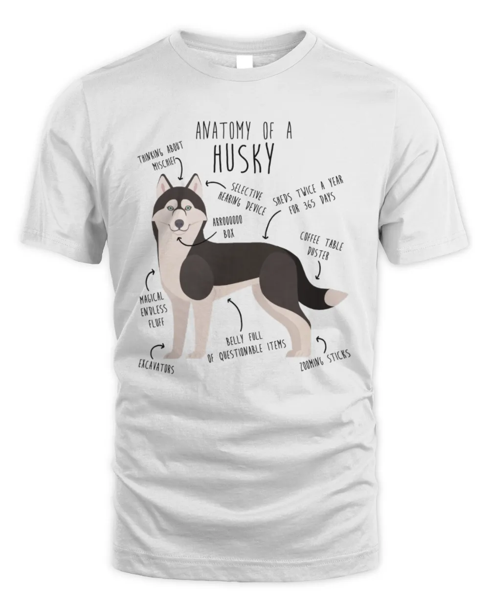 Anatomy Of A Husky