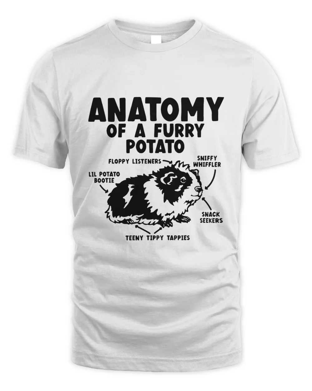 Guinea Pig Anatomy Of A Furry Potato