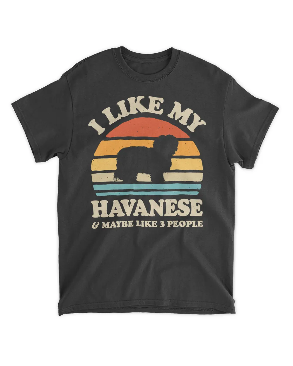 I Like My Havanese And Maybe Like 3 People Dog Retro Vintage T-Shirt