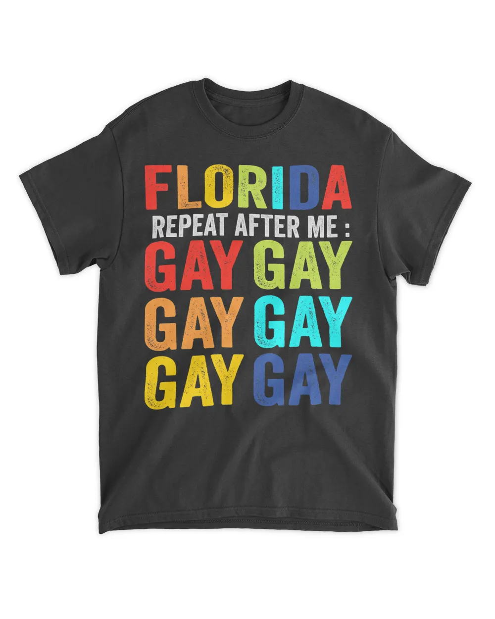 Florida Gay Say Gay Say Trans Stay Proud LGBT Gay Rights