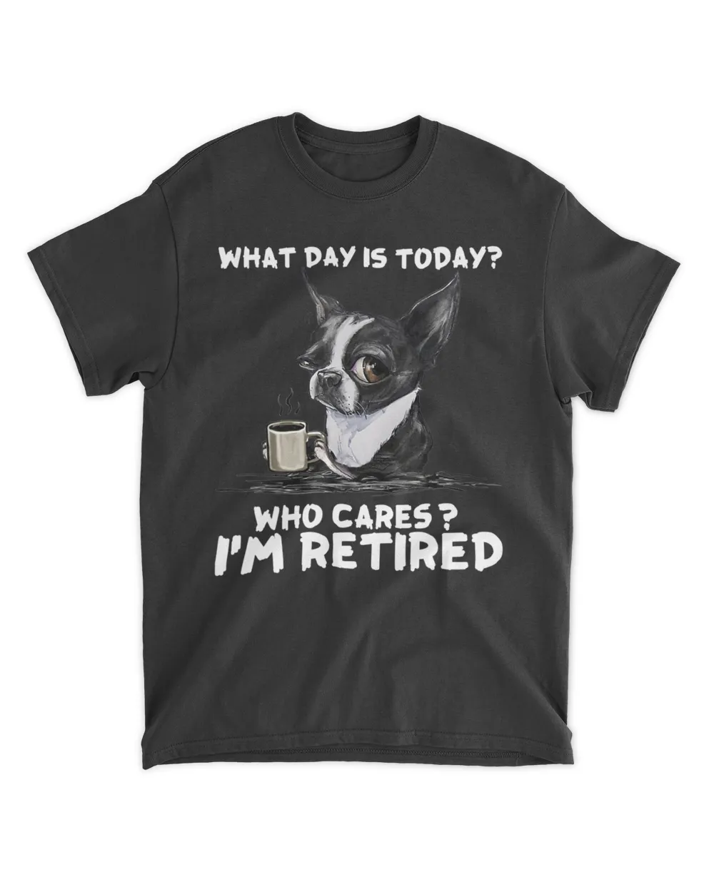 What day is today who cares I'm retired boston terrier HOD010523A4