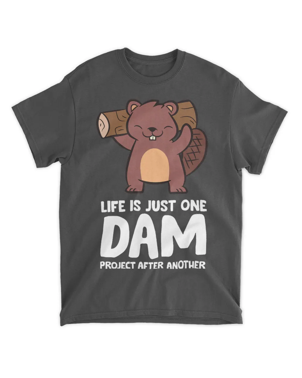 Life Is Just One Dam Project After Another Funny Beaver