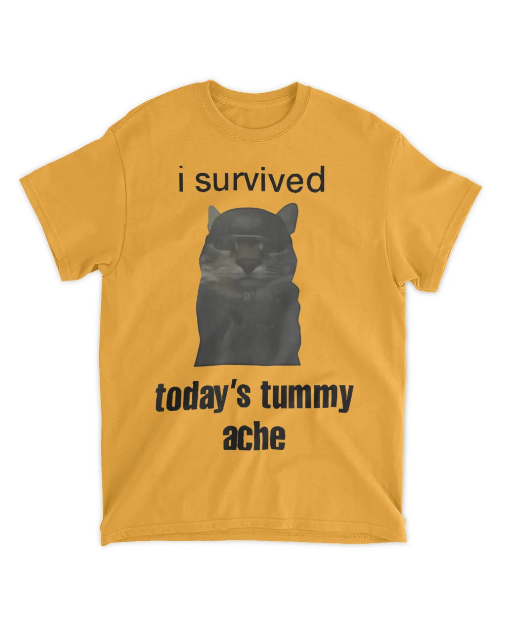 I Survived Today’S Tummy Ache Funny T-Shirt