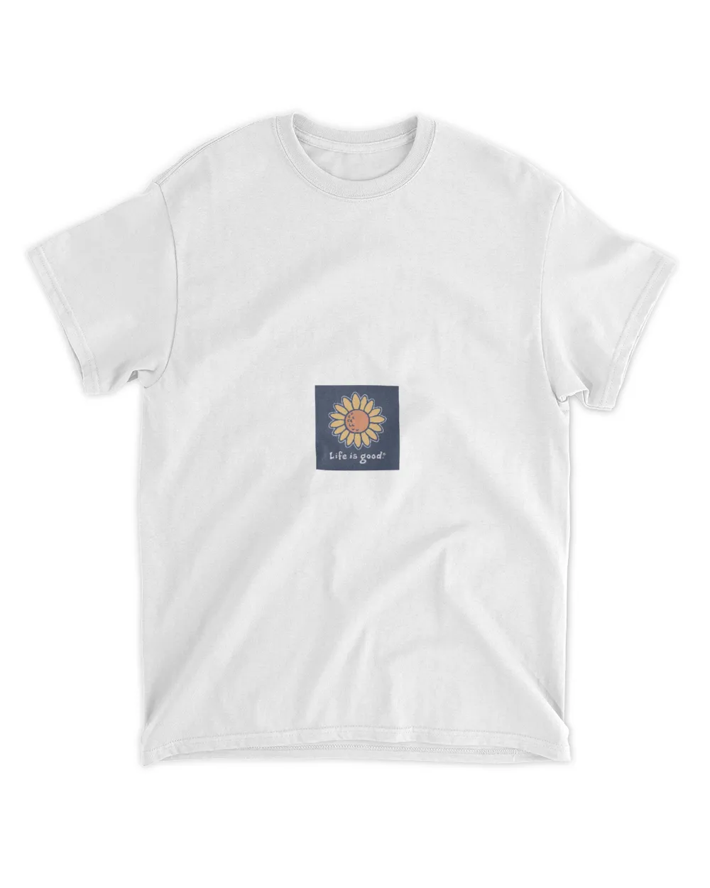 Test camp combo 2907