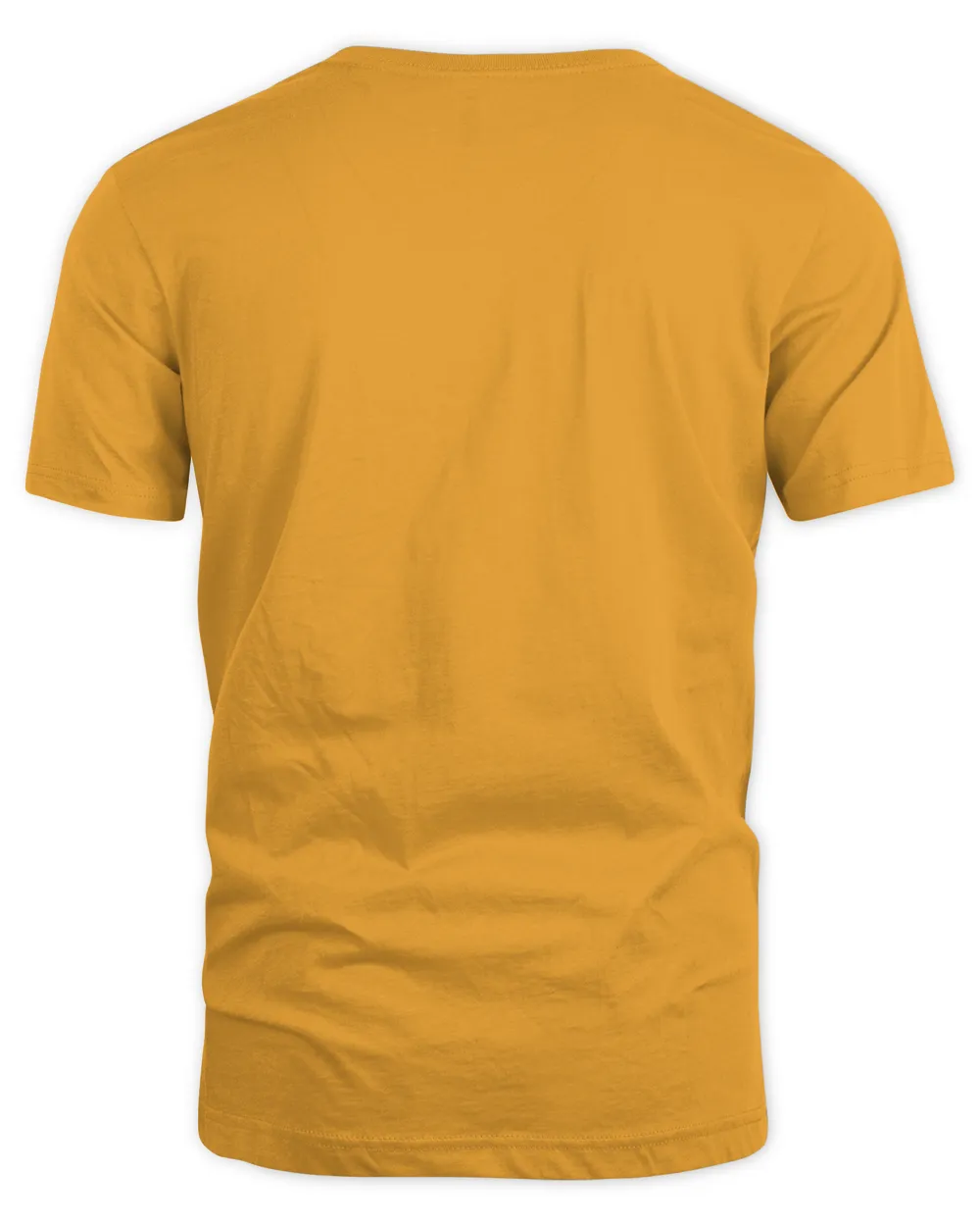 Iowa Hawkeyes until the game is won shirt