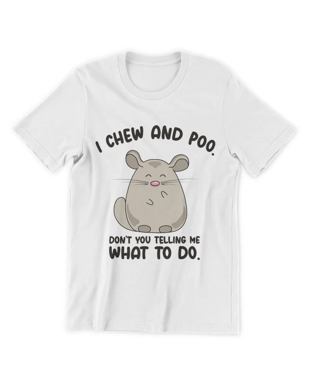 Chinchilla Cute Animal Pet Chinchilla Owner Wildlife Rodent