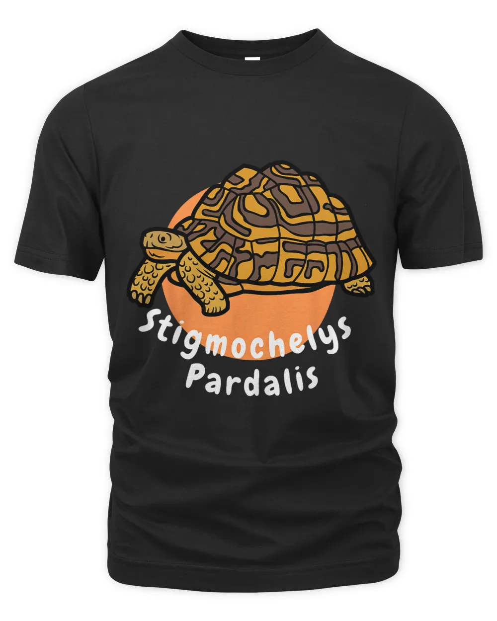 Stigmochelys Pardalis Leopard Tortoise Scientific Name