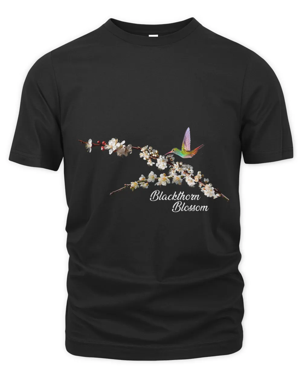 SPRING HUMMINGBIRD BLACKTHORN BLOSSOMS TREE BIRDS