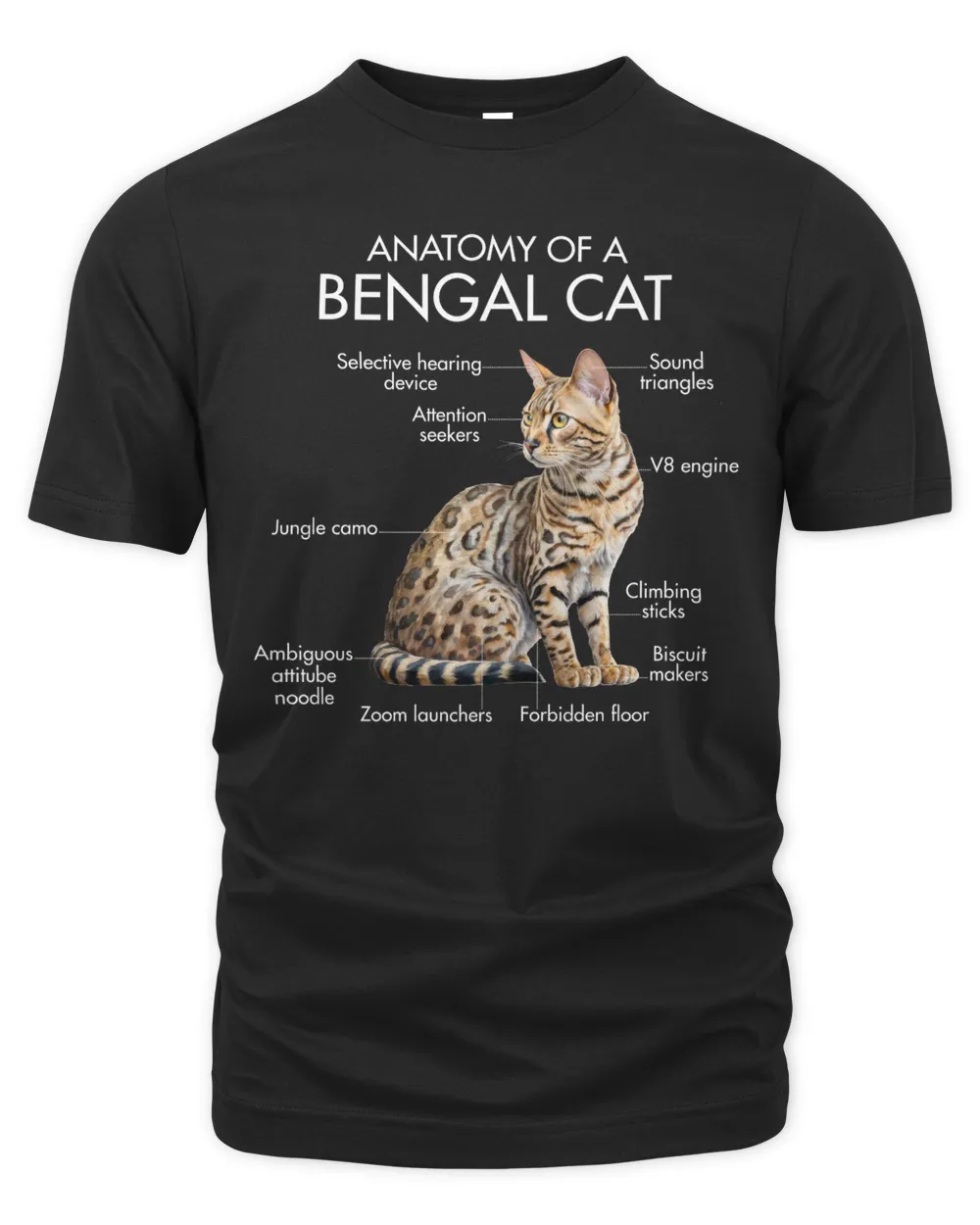 Anatomy Of A Bengal Cat