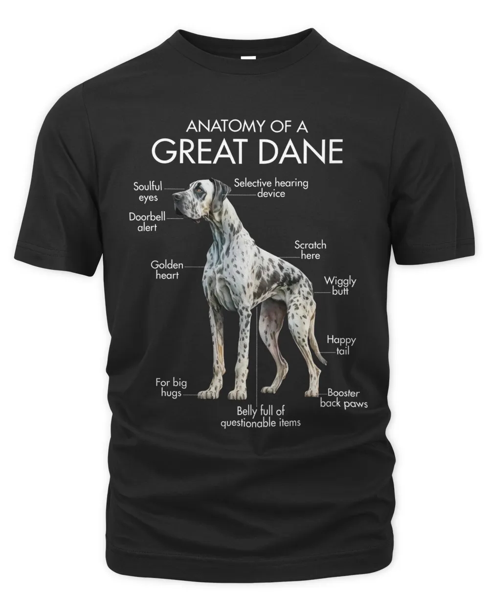 Anatomy Of A Great Dane