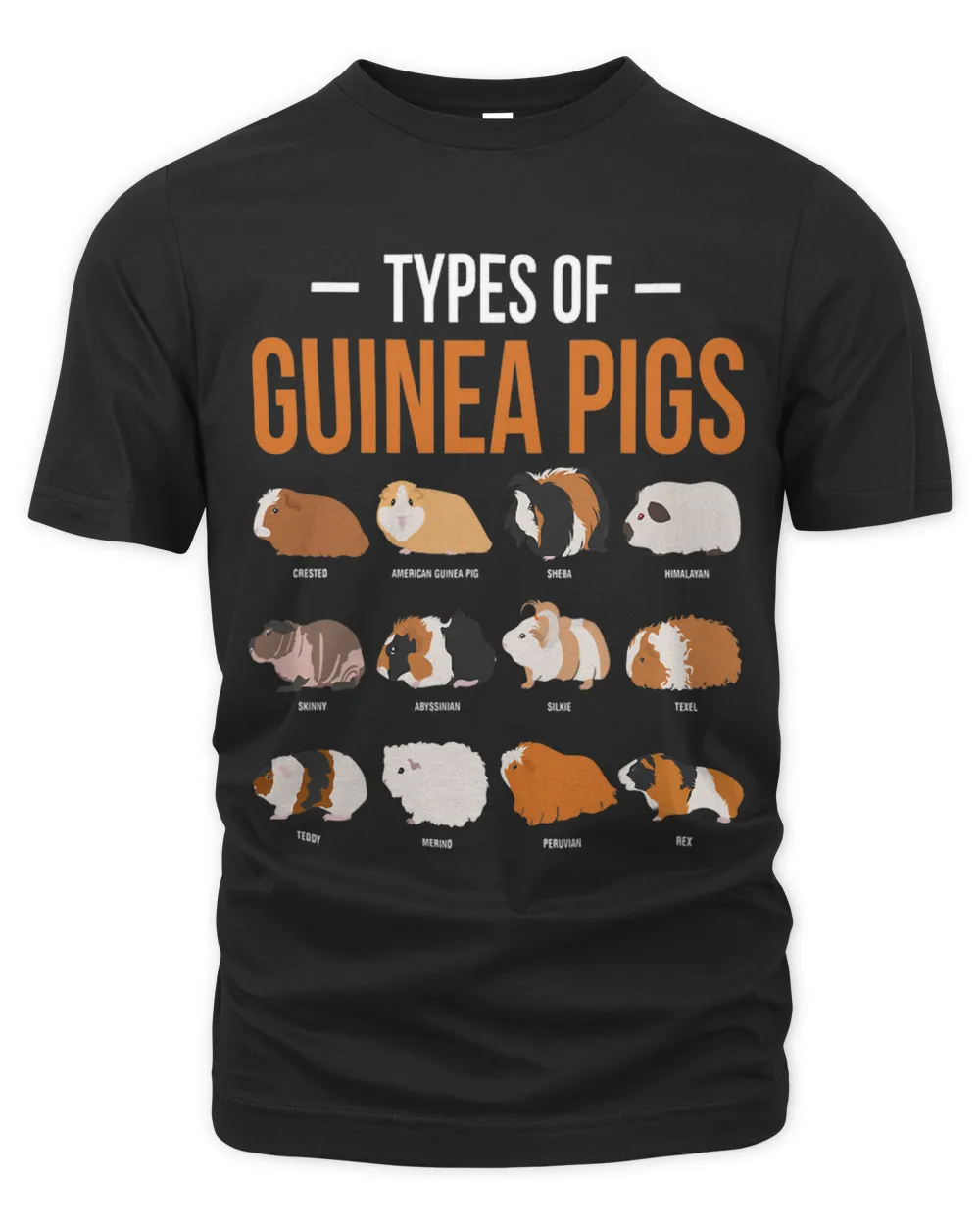 Types Of Guinea Pigs Funny Guinea Pig Owner