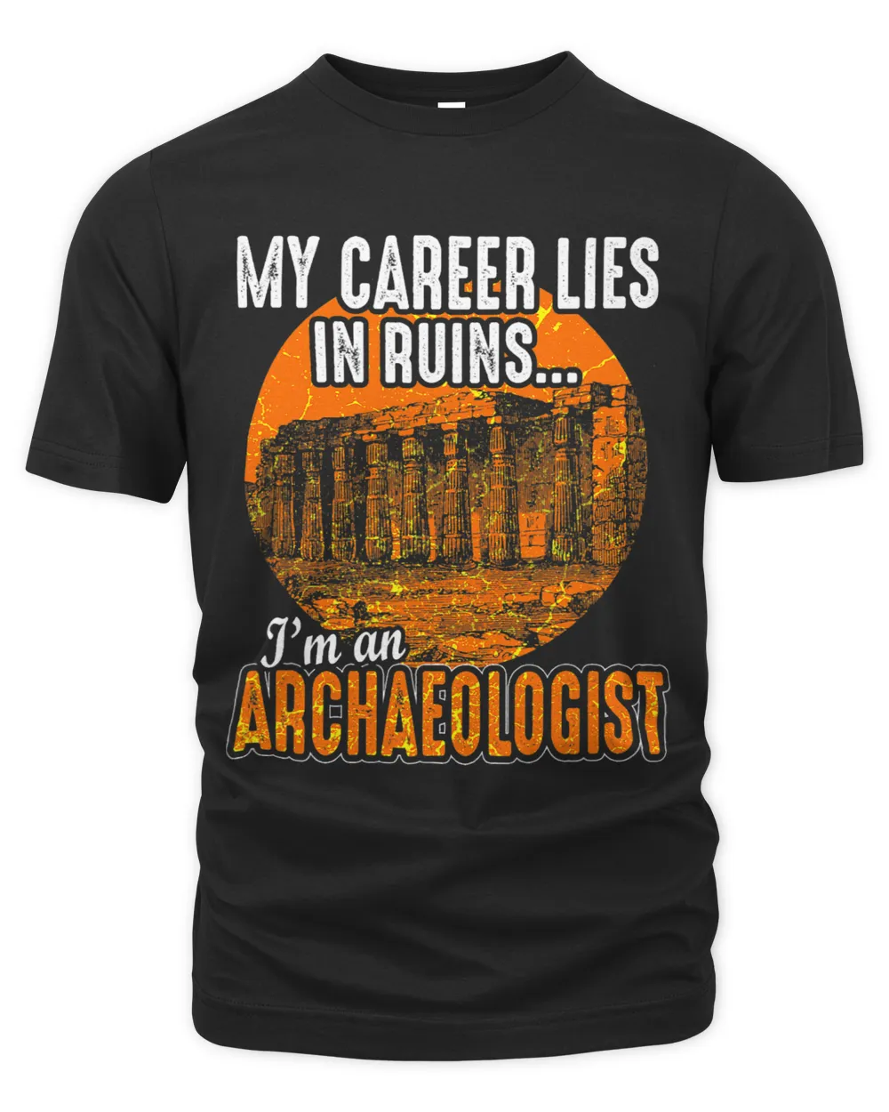 Archaeology Archeology Archaeologist Funny Saying Quote