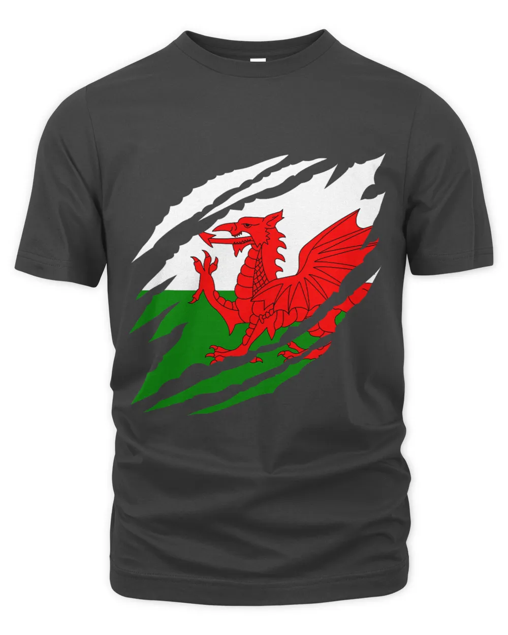 Dragon Animals Wales Rugby Dragon Claw Welsh Rugby Fan St Davids