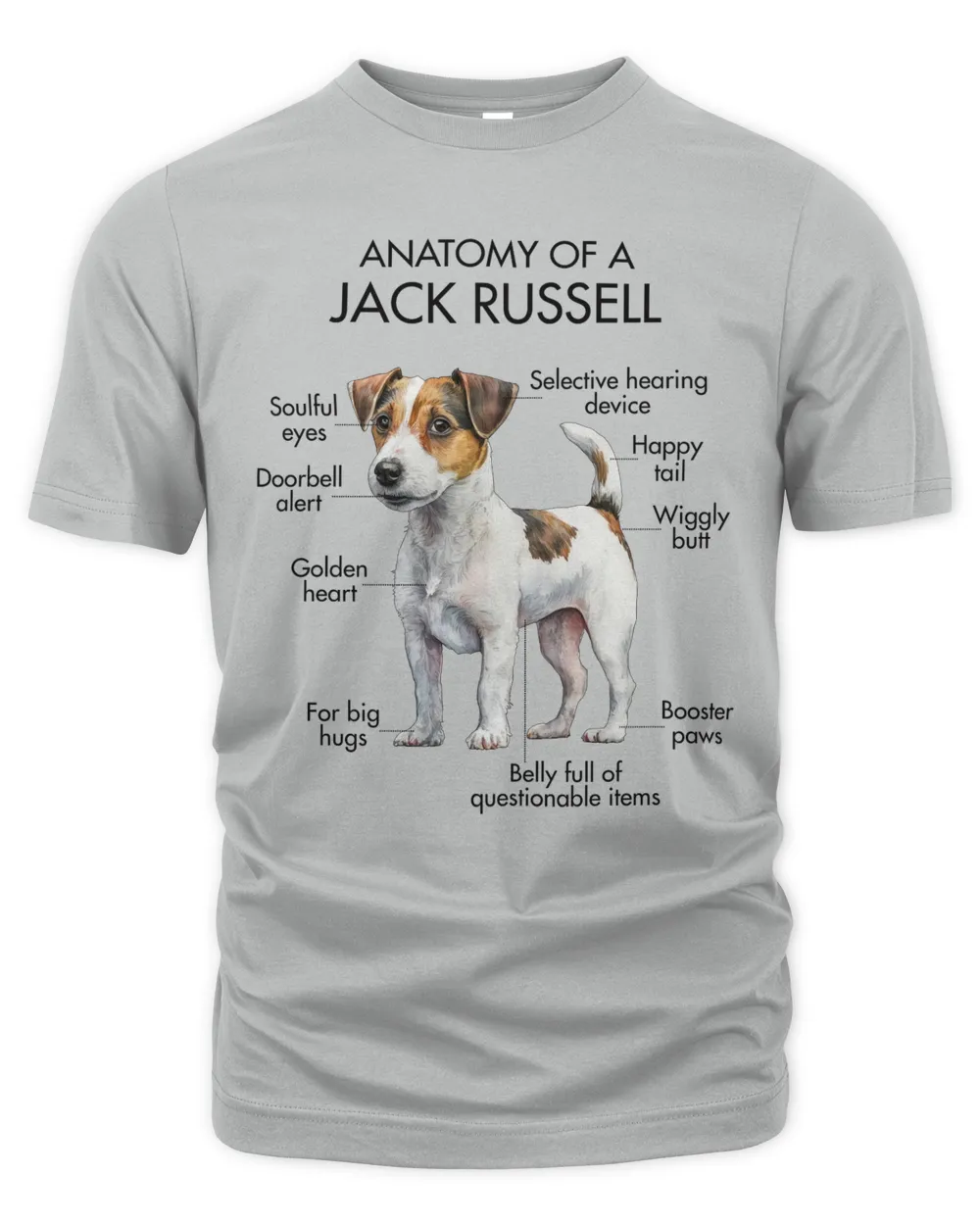 Anatomy Of A Jack Russell