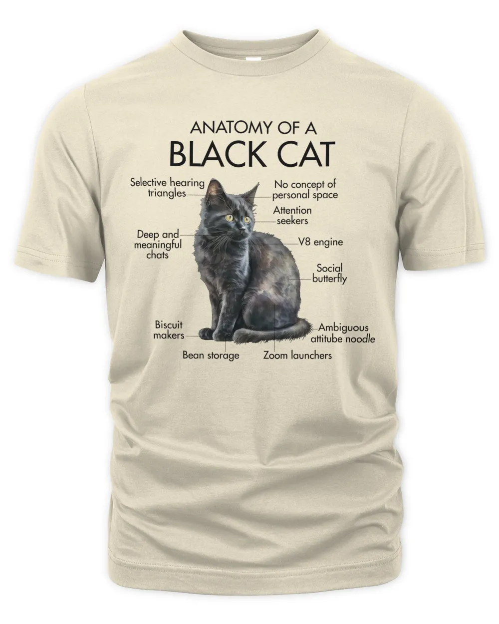 Anatomy Of A Black Cat