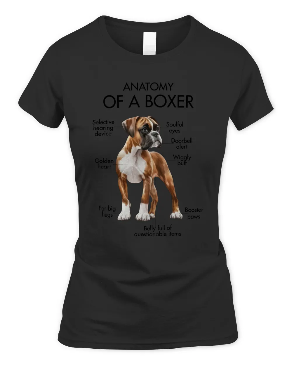 Anatomy Of A Boxer