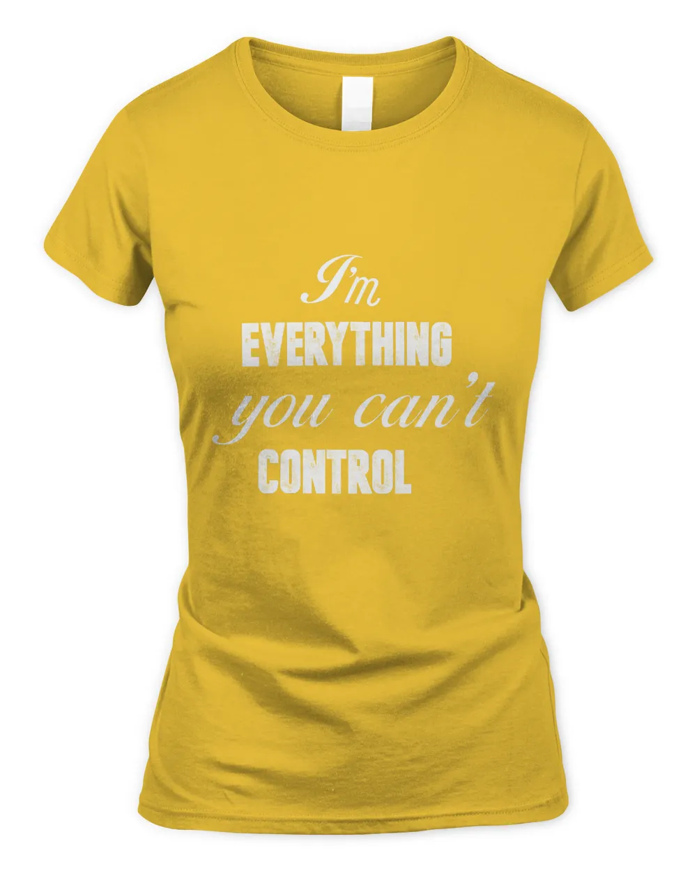 I'm Everything You Can Not Control