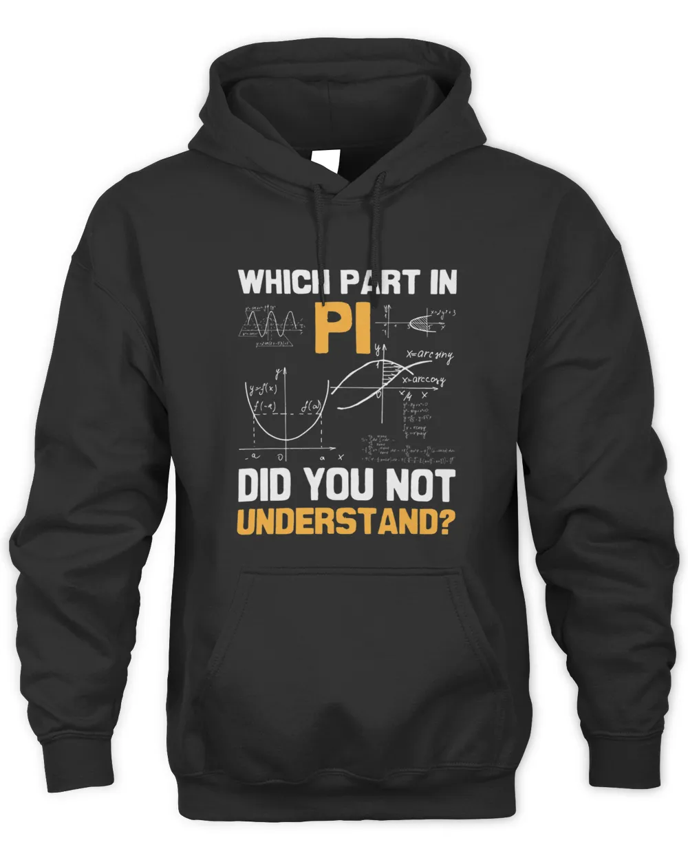 Which Part In Pi Did You Not Understand I Pi Symbol I Pi Unisex Hoodie black s