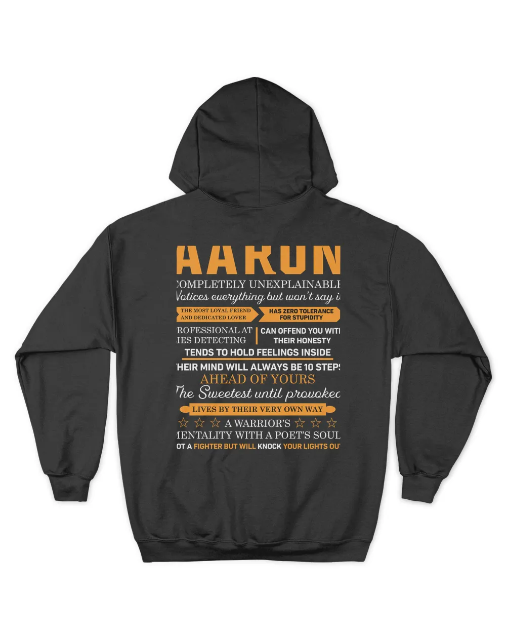 AARON-SDT1-N1 Unisex Hoodie black s