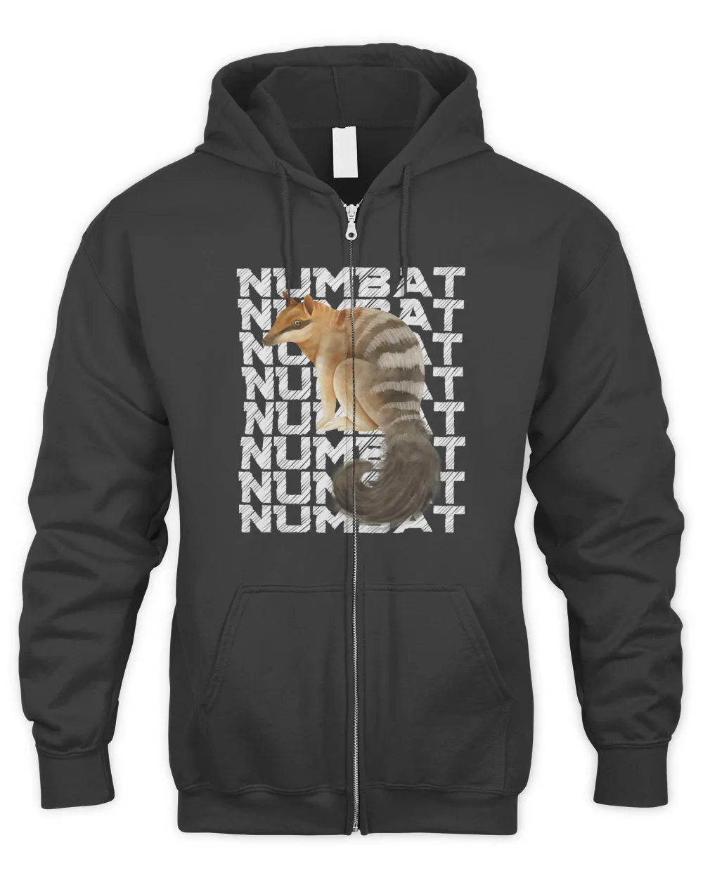 Numbat Illustration of Numbat