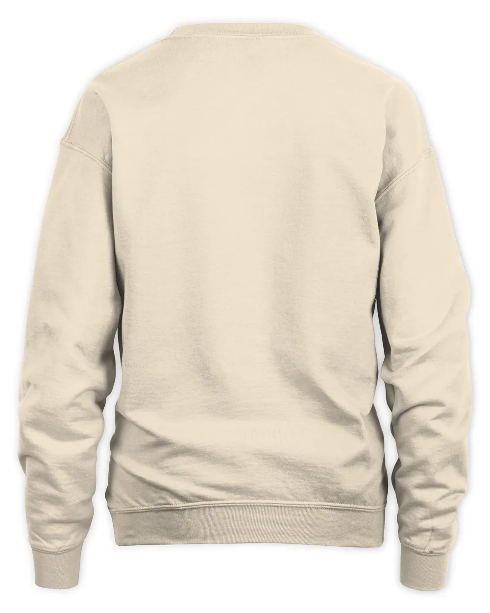 Plus Size Casual Sweatshirt, Women's Slightly Stretchy Round Neck Long Sleeve Sweatshirt
