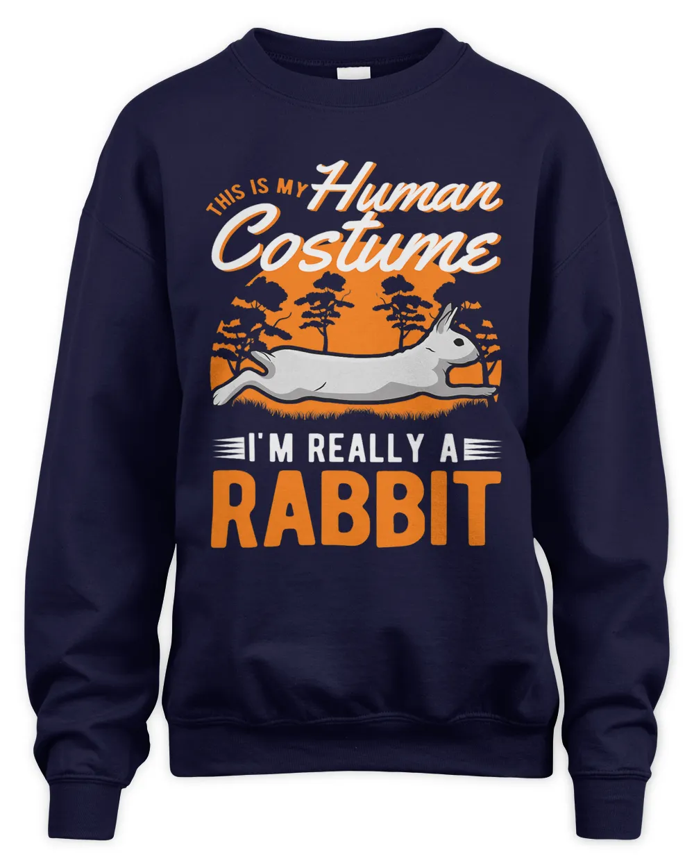 Rabbit Human Costume Halloween Rabbit 1