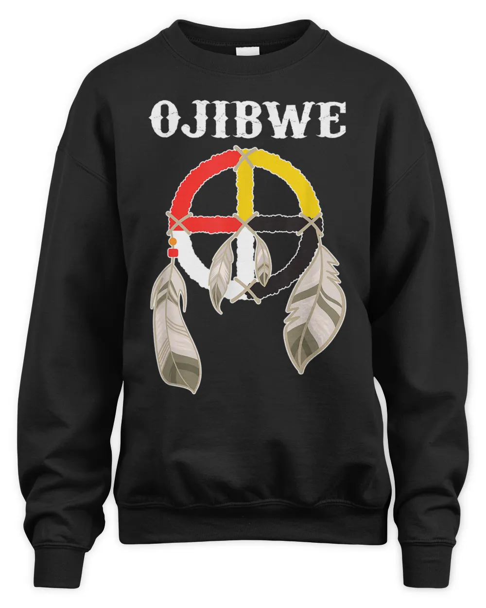 Ojibwe Anishinaabeg People Native American