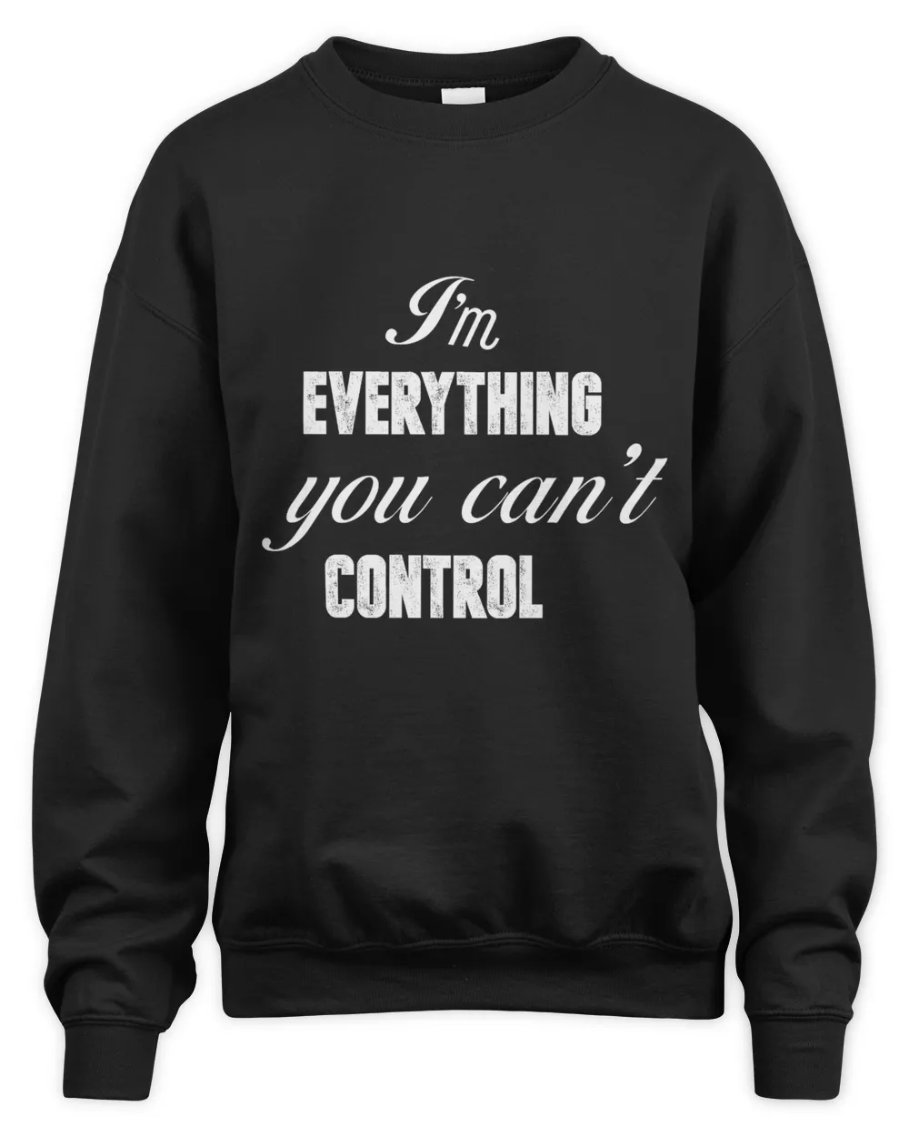 I'm Everything You Can Not Control