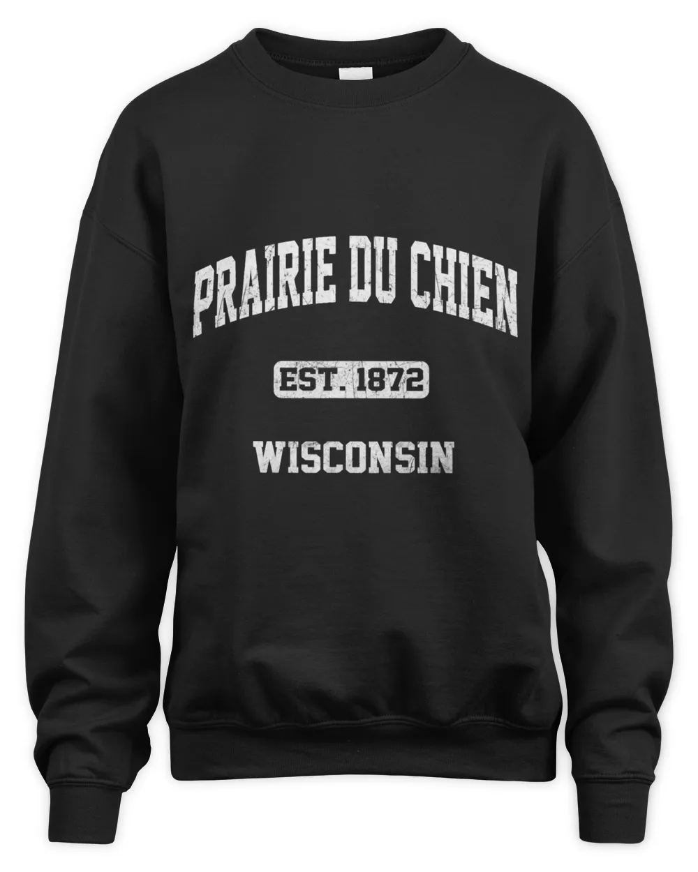 Prairie du Chien Wisconsin WI vintage State Athletic style 3