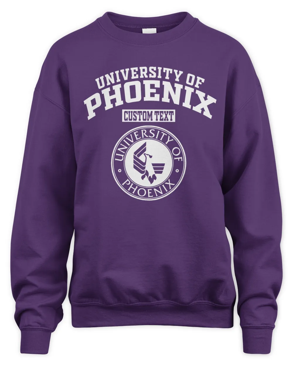 University of Phoenix Lg01
