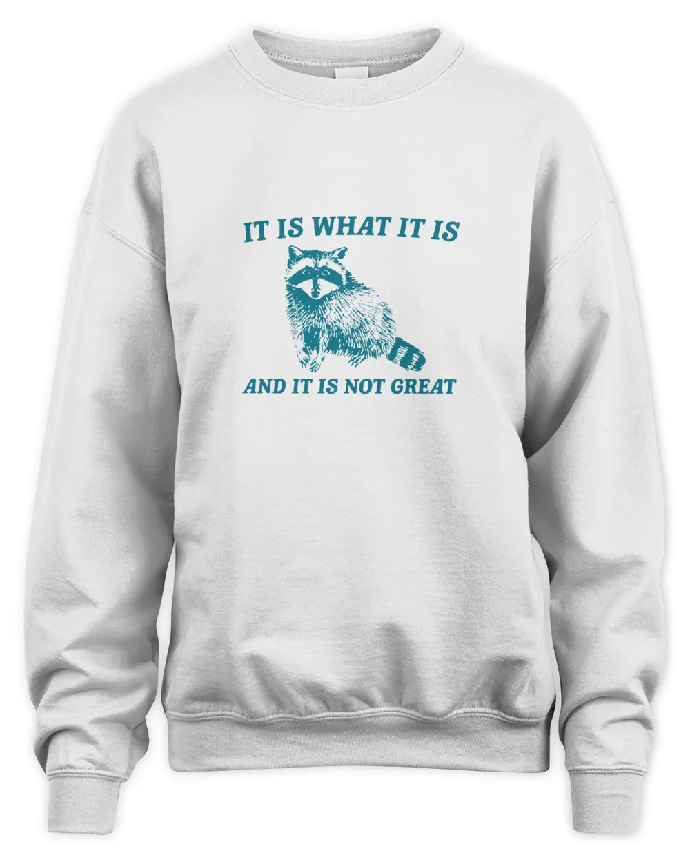 It Is What It Is And It Is Not Great Sweatshirt, Mental Health Sweatshirt, Funny Sweatshirt Women, Meme Sweatshirt, Raccoon Shirt, Gag Tee
