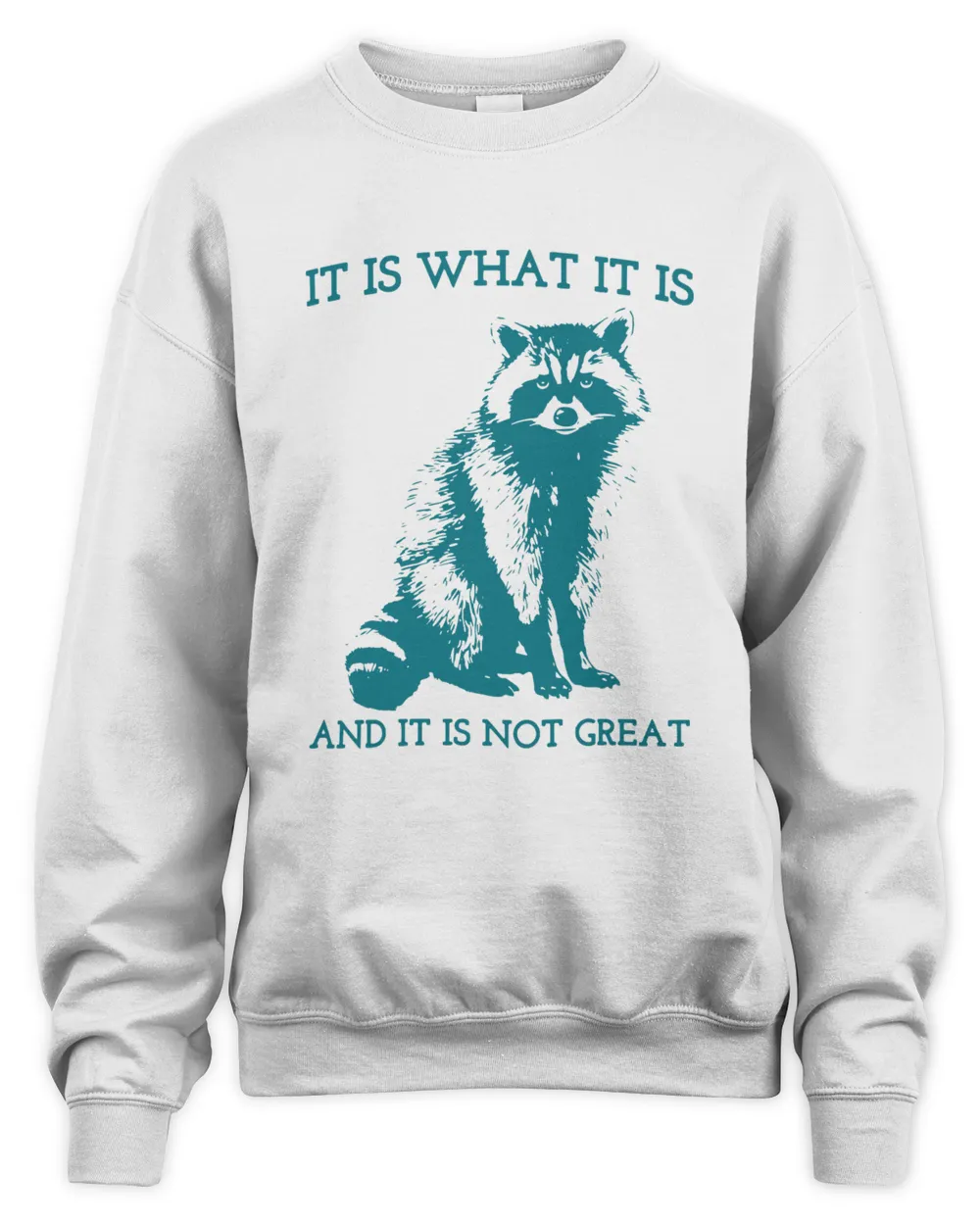 It Is What It Is And It Is Not Great Sweatshirt Vi