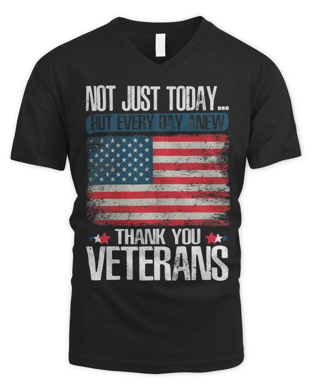 NOT JUST TODAY! THANK YOU VETERANS 294