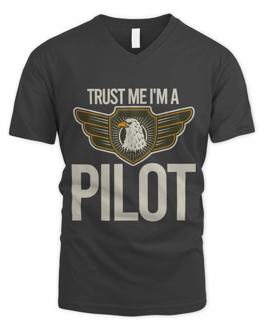 Trust me I am a pilot