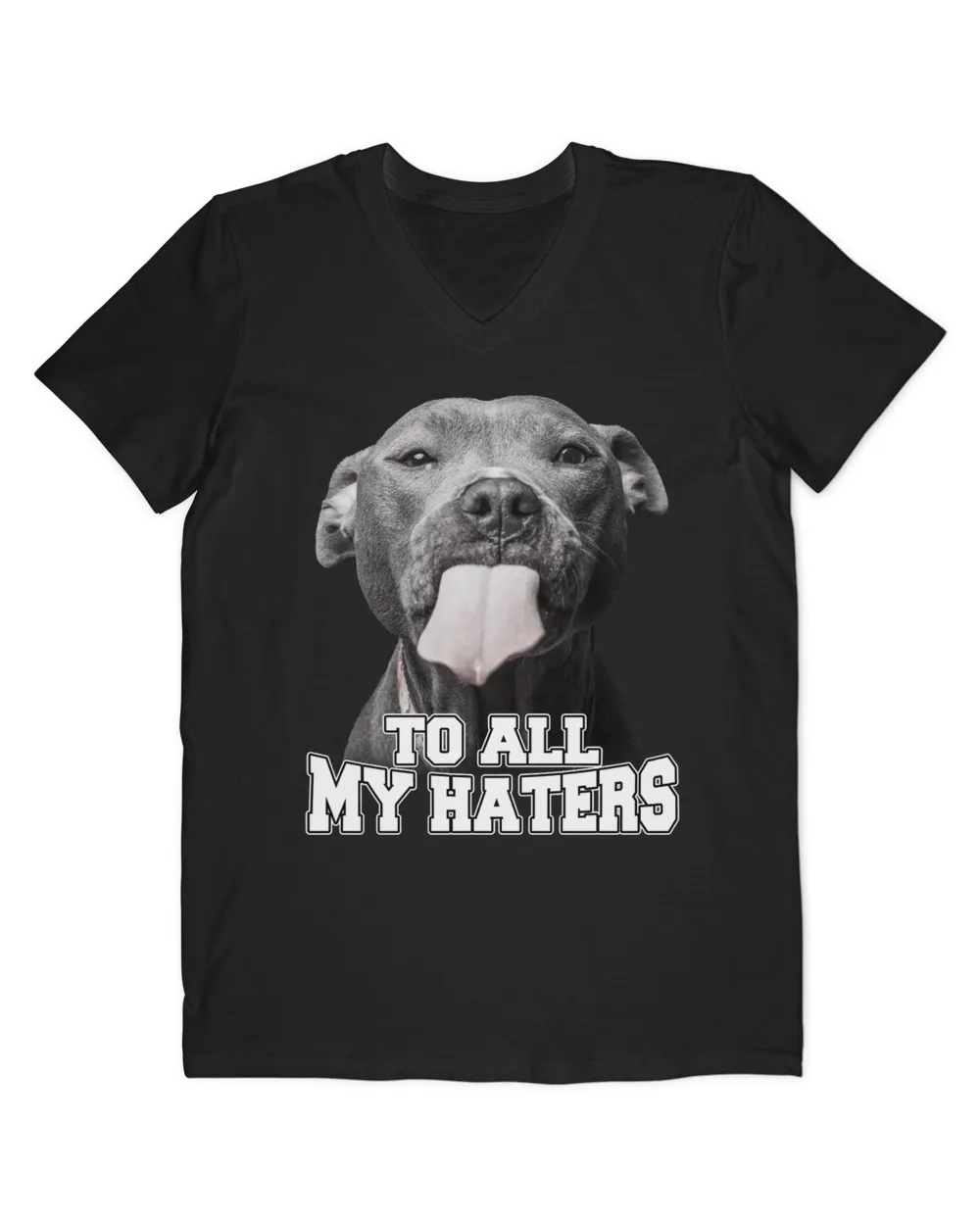 To All My Haters Dog QTDOG102022A1