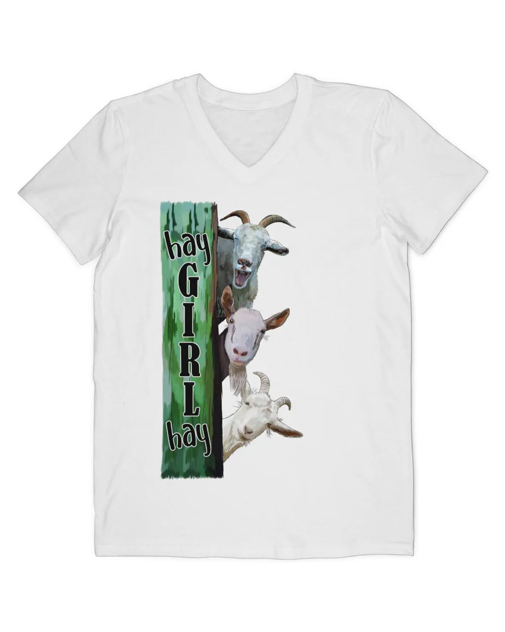 Goat Farm  (5)