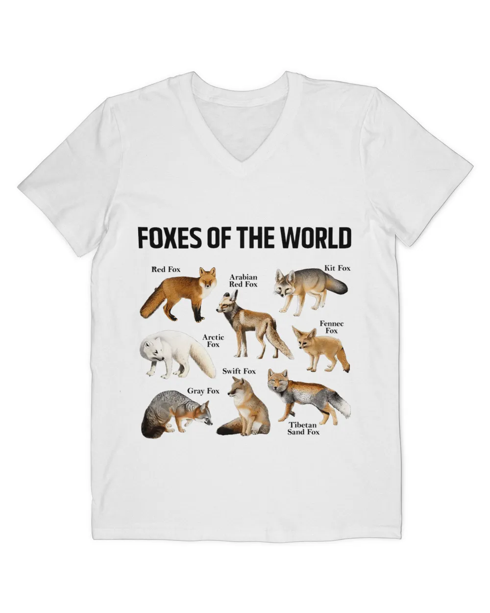 Foxes Of The World Cute Fox Animals